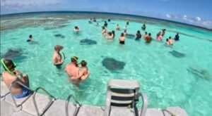 Is  Stingray City Antigua suitable for all ages?