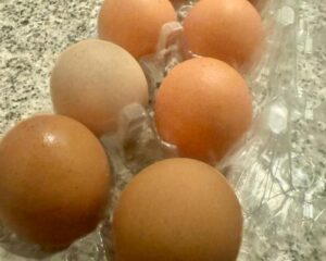 How much do a dozen eggs cost?