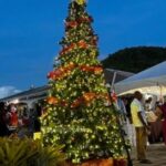 Does Epicurean in Antigua sale Christmas decorations?