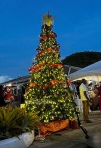 Does Epicurean in Antigua sale Christmas decorations?